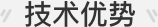 技术优势